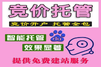 网站SEM托管服务客户案例分享